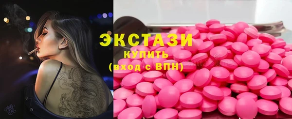 индика Горно-Алтайск
