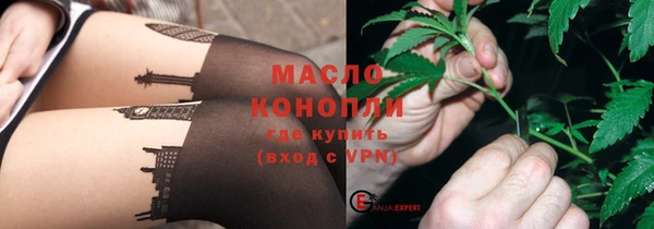 индика Горно-Алтайск