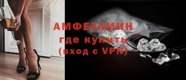 индика Горно-Алтайск