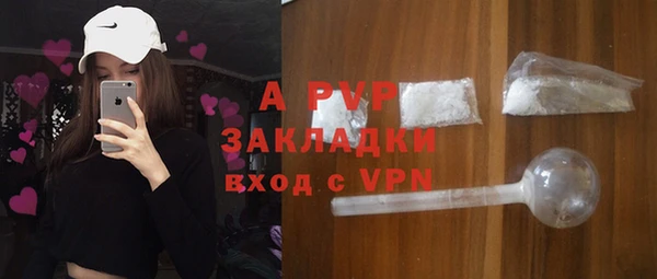 индика Горно-Алтайск