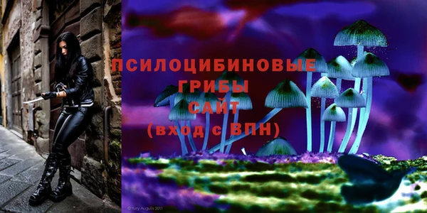 индика Горно-Алтайск