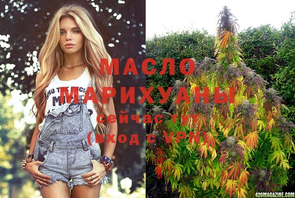 индика Горно-Алтайск