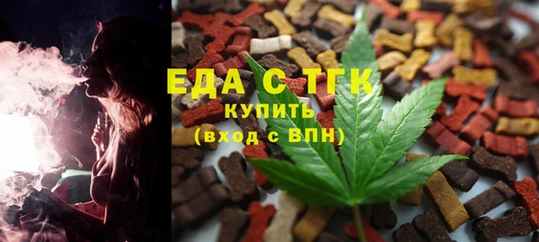 индика Горно-Алтайск