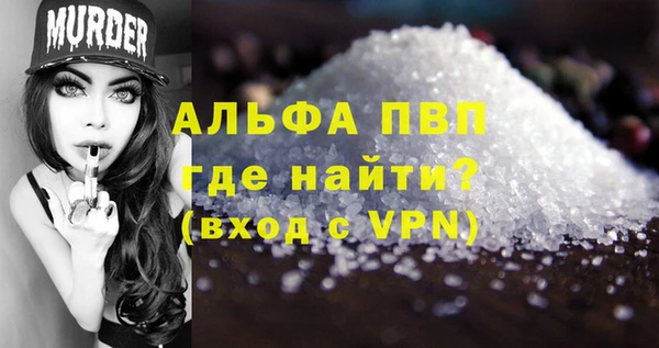 индика Горно-Алтайск
