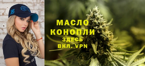 индика Горно-Алтайск
