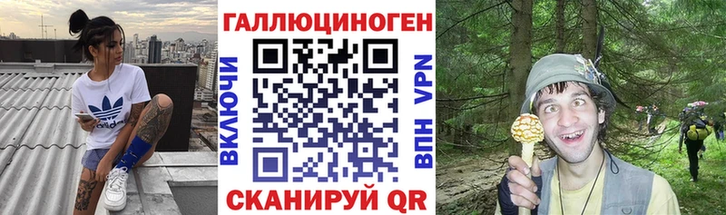 Псилоцибиновые грибы Magic Shrooms  Заволжье 