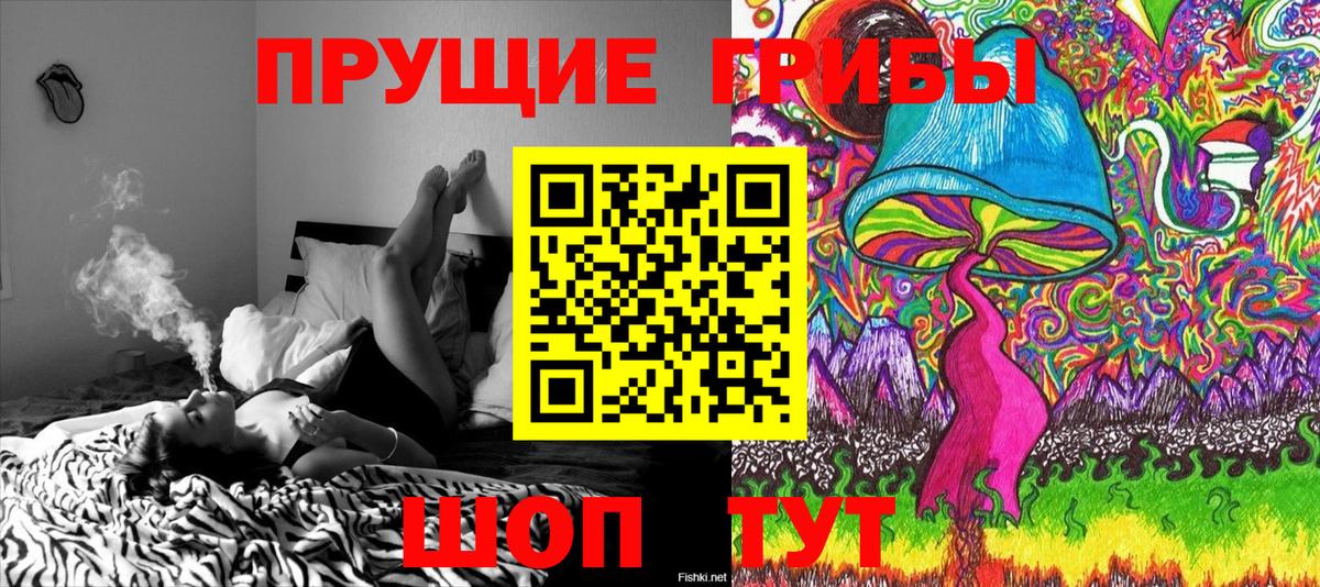 Галлюциногенные грибы прущие грибы Заволжье