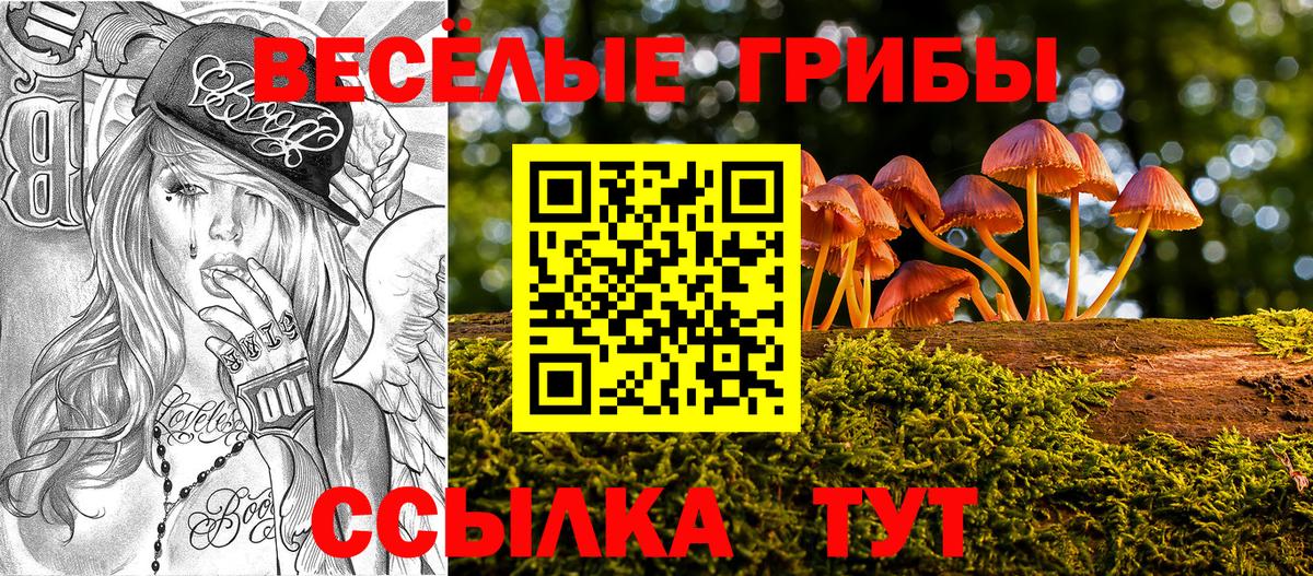 закладки  Вход с VPN  Галлюциногенные грибы Psilocybine cubensis  Заволжье  Псилоцибиновые грибы мухоморы 